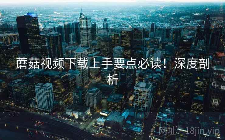 蘑菇视频下载上手要点必读！深度剖析