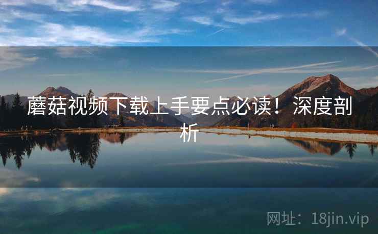 蘑菇视频下载上手要点必读！深度剖析