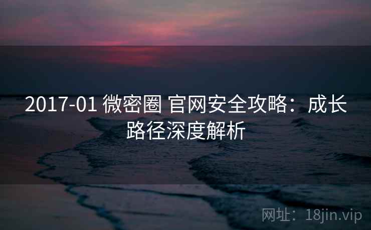 2017-01 微密圈 官网安全攻略：成长路径深度解析