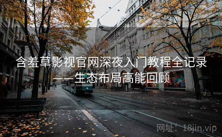 含羞草影视官网深夜入门教程全记录——生态布局高能回顾