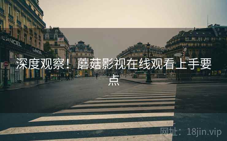 深度观察！蘑菇影视在线观看上手要点