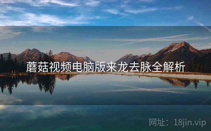 蘑菇视频电脑版来龙去脉全解析